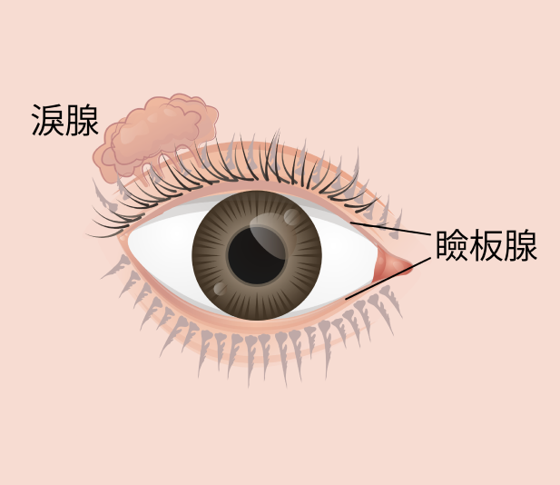 希瑪眼科中心_乾眼症